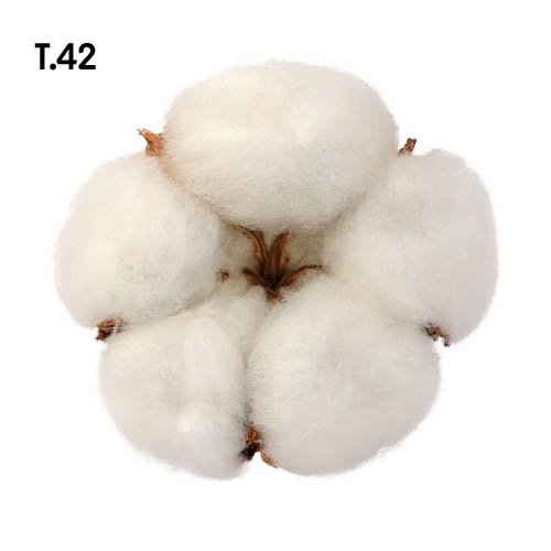 Textil_motiv42.jpg Textil_motiv42.jpg